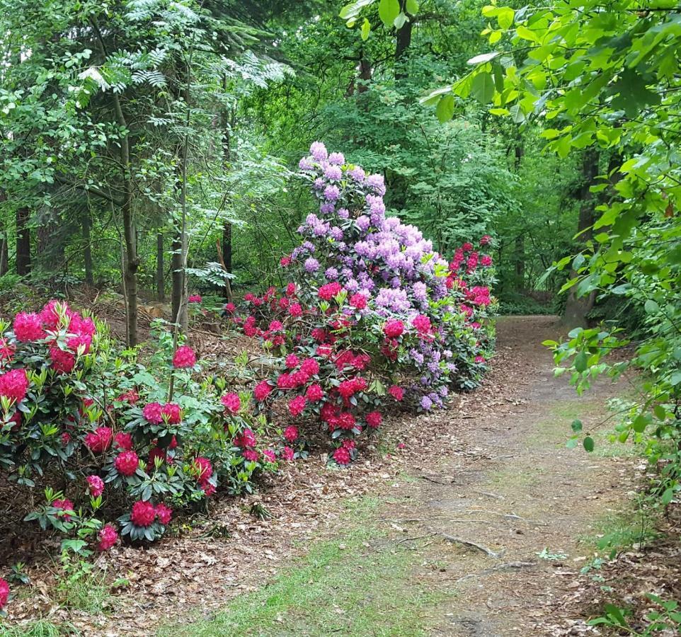 Veluwe Nature Home - 2 Persons أوتيرلو المظهر الخارجي الصورة